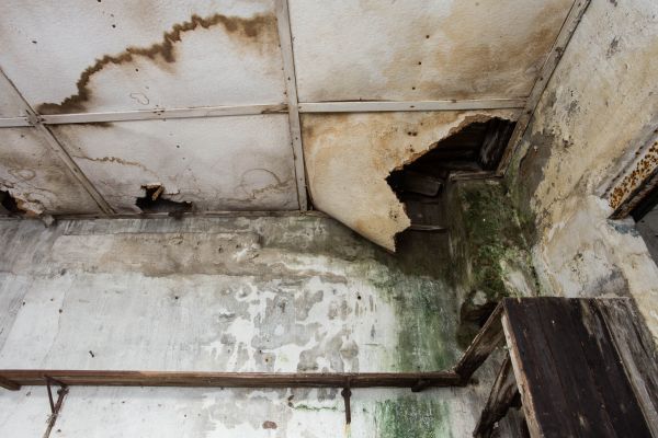 Cost of Water Damage Service in Napa