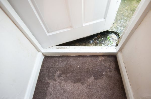 Cost of Wet Carpet Restoration in Napa