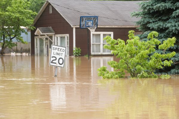 Cost of Storm Restoration Service in Napa
