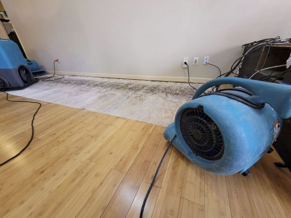 Cost of Water Damage Mitigation in Napa