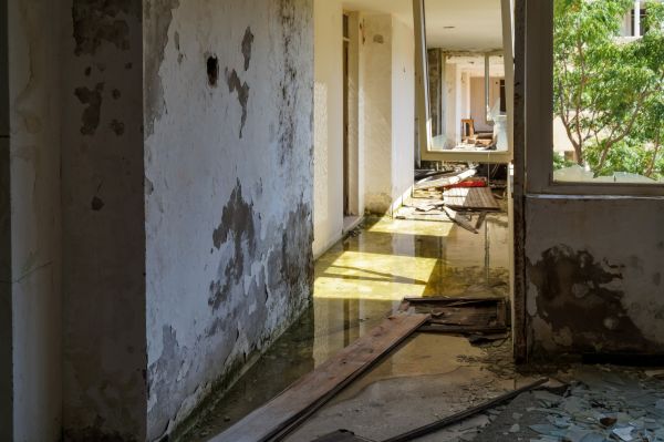 Cost of Water Removal Service in Napa