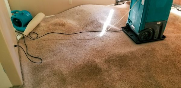 Cost of Carpet Water Extraction in Napa