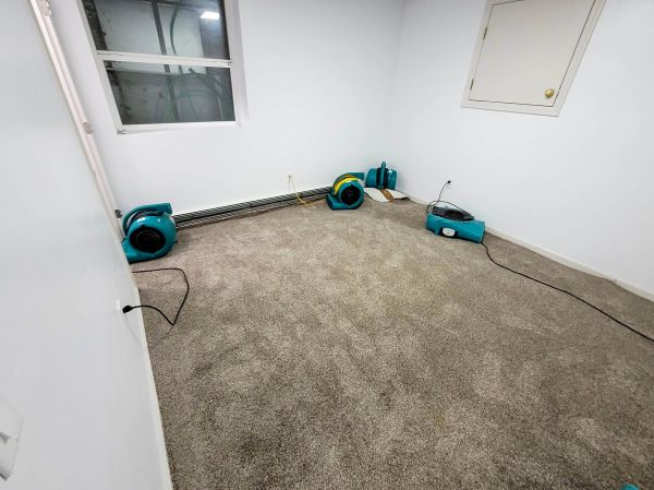 Cost of Flood Restoration Service in Napa
