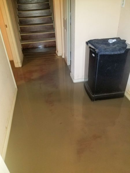 Cost of Emergency Water Removal in Napa
