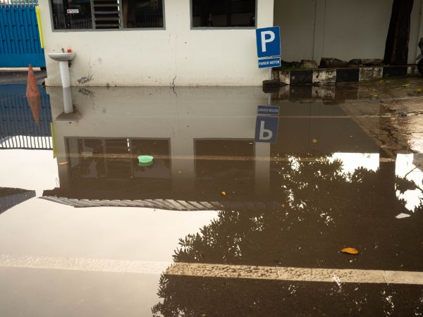 Cost of Storm Damage Repair in Napa