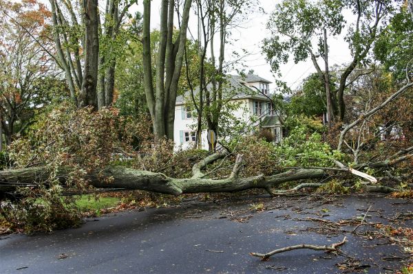 Cost of Tornado Damage Repair in Napa