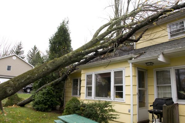 Cost of Hurricane Damage Repair in Napa