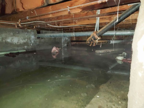 Cost of Crawlspace Water Restoration in Napa